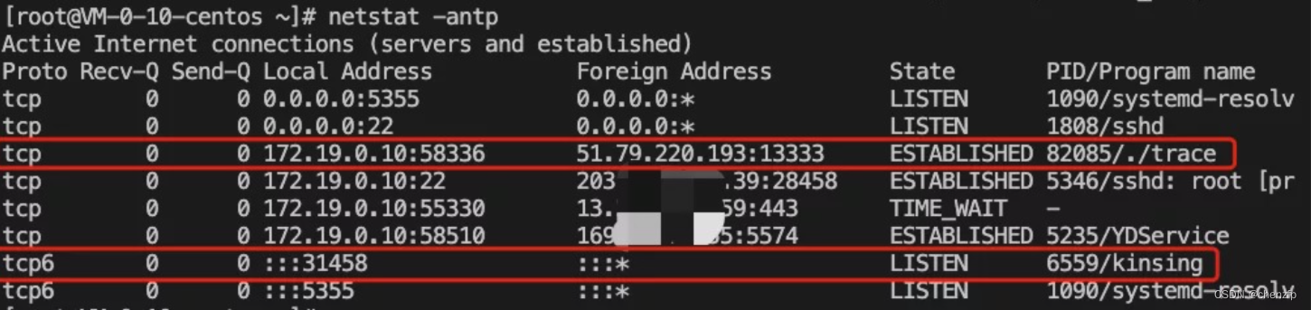 netstat 出力例